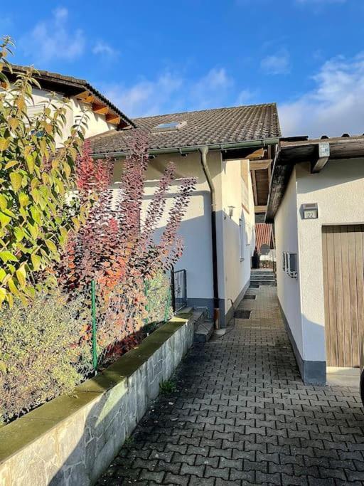 Modernes Apartment Mit Top Ausstattung Und Kamin Im Oberpfaelzer Seenland Nittenau Exteriér fotografie
