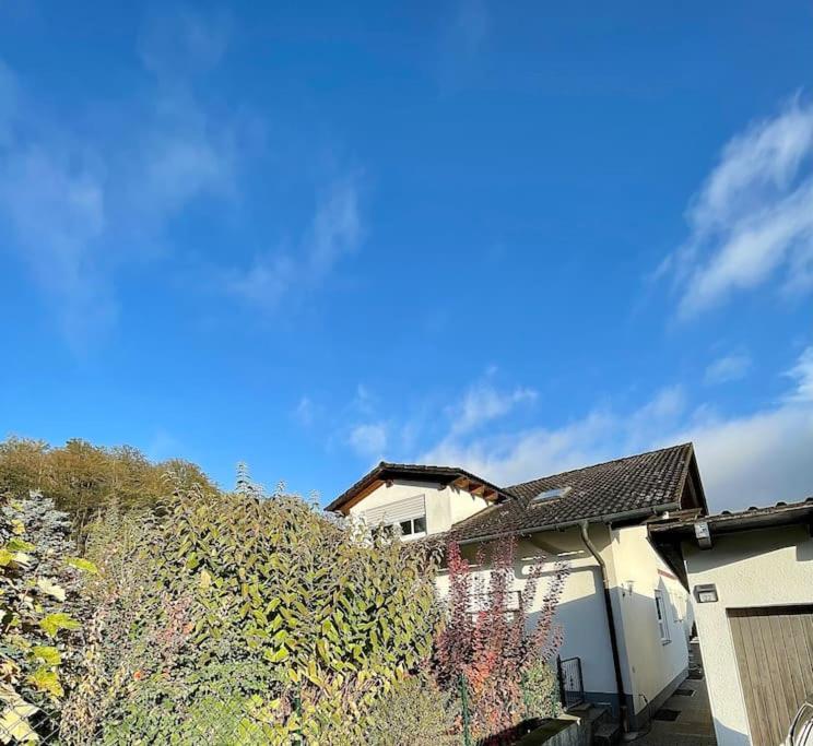 Modernes Apartment Mit Top Ausstattung Und Kamin Im Oberpfaelzer Seenland Nittenau Exteriér fotografie